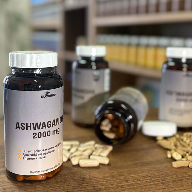 Ashwagandha kořen