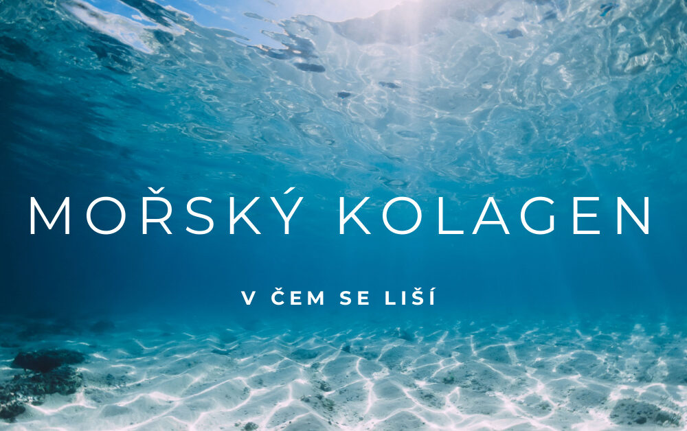 Co je mořský kolagen a v čem se liší od ostatních typů kolagenu